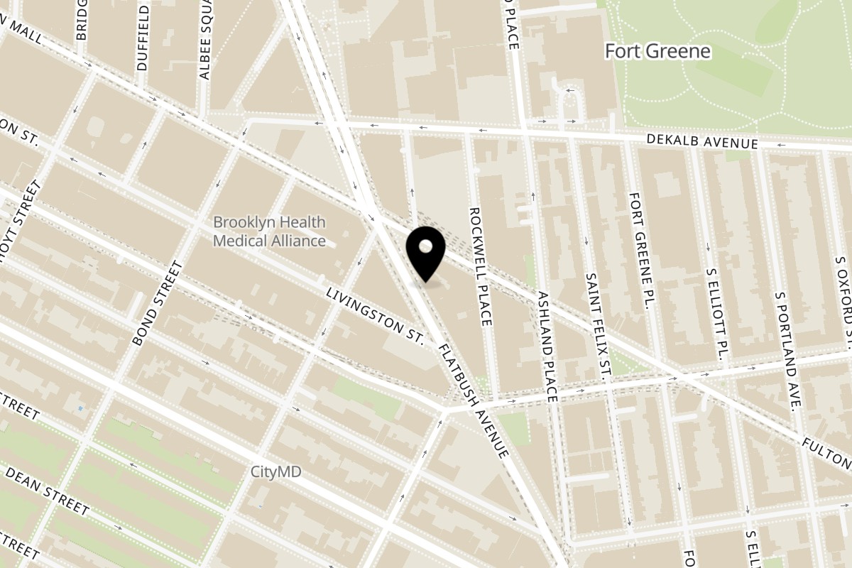 Map showing the location of Juici Patties Flatbush, Brooklyn on 19 Flatbush Ave in Brooklyn