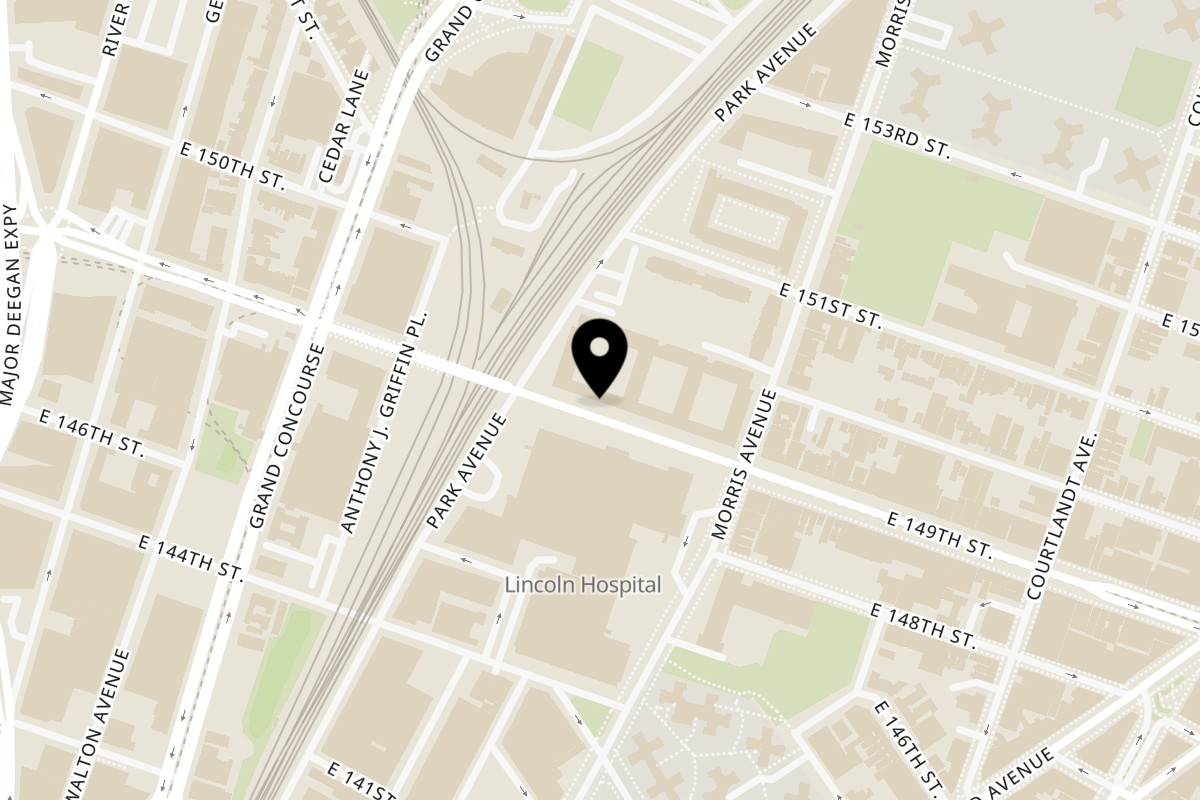 Map showing the location of Juici Patties South Bronx on 231 E 149th St in Bronx