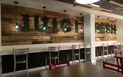 Convenience is Key: Why Americans Love Fast Food